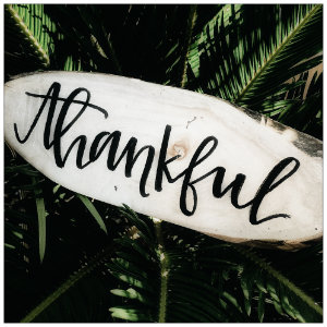 Slice of wood with the word Thankful and green leaves in background - image by jessica bristow www.unsplash.com